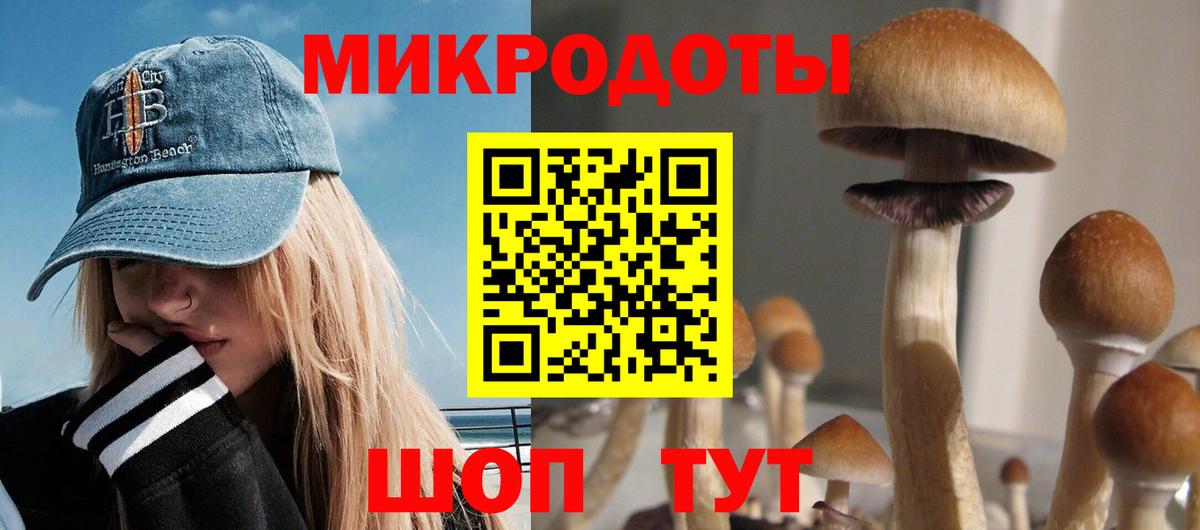 Псилоцибиновые грибы GOLDEN TEACHER  Вход с VPN  Мурманск 